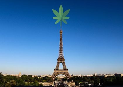 Frankreich legalisiert Medizinalcannabis