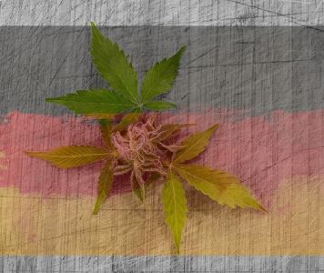 Cannabis soll in Deutschland legal werden