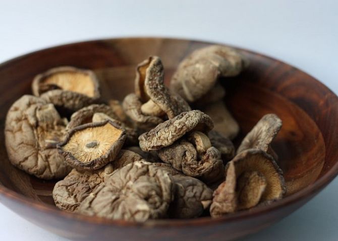 Vital mushrooms are said to have numerous health benefits