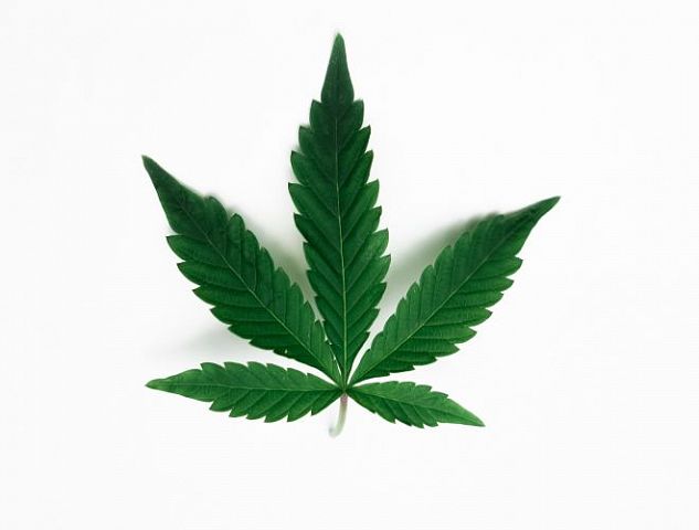 Marijuana is part of the cannabis plant, but not all cannabis is Marijuana