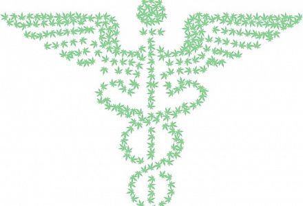 Erleichterter Zugang zu Medizinalcannabis gefordert