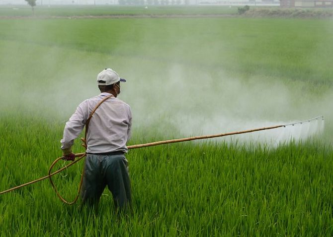 Alles über Pestizide & Herbizide
