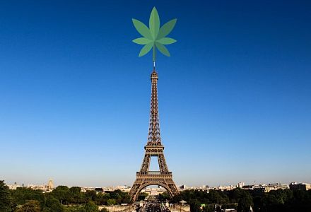 Frankreich legalisiert Medizinalcannabis